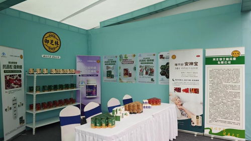 御芝林藥業(yè)亮相第三屆扁鵲文化節(jié)，多款核心產品與文化創(chuàng)新備受矚目